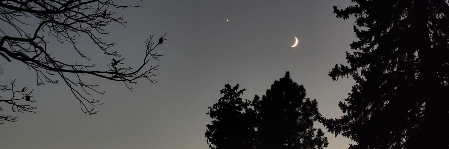 DylanDt's profile banner image