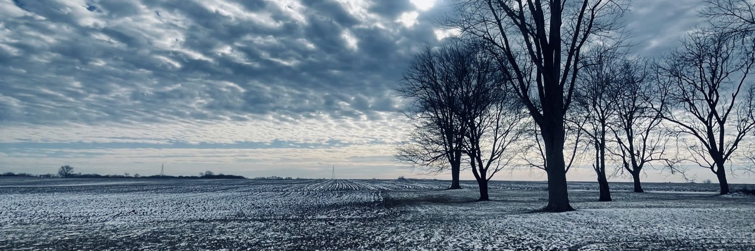 TNeyss97's profile banner image