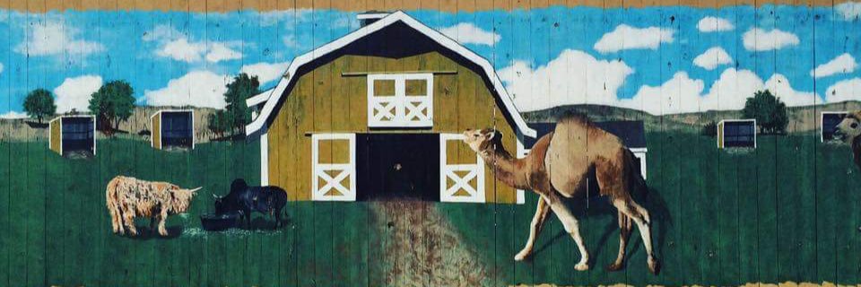 BabbyFarms's profile banner image