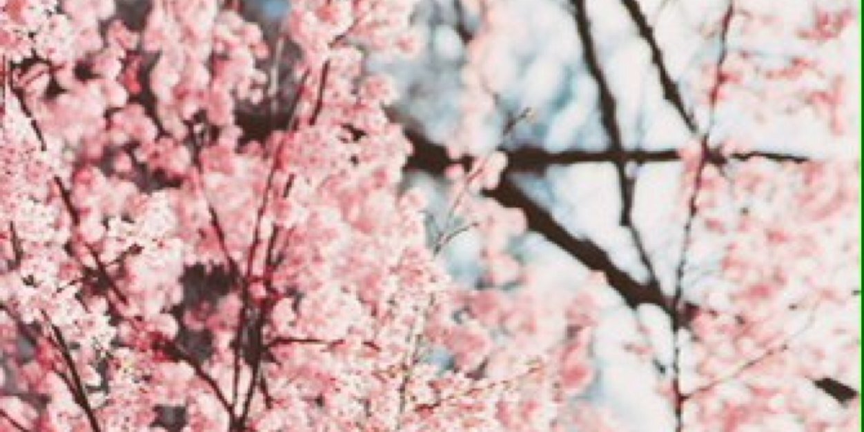 isha__'s profile banner image