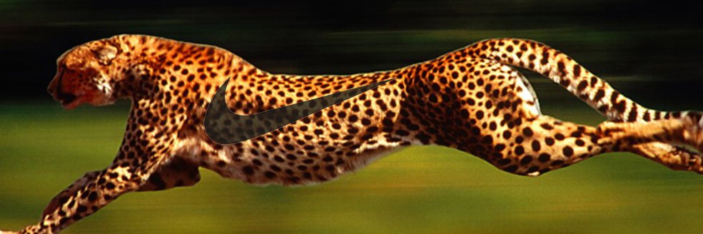 jim4824's profile banner image