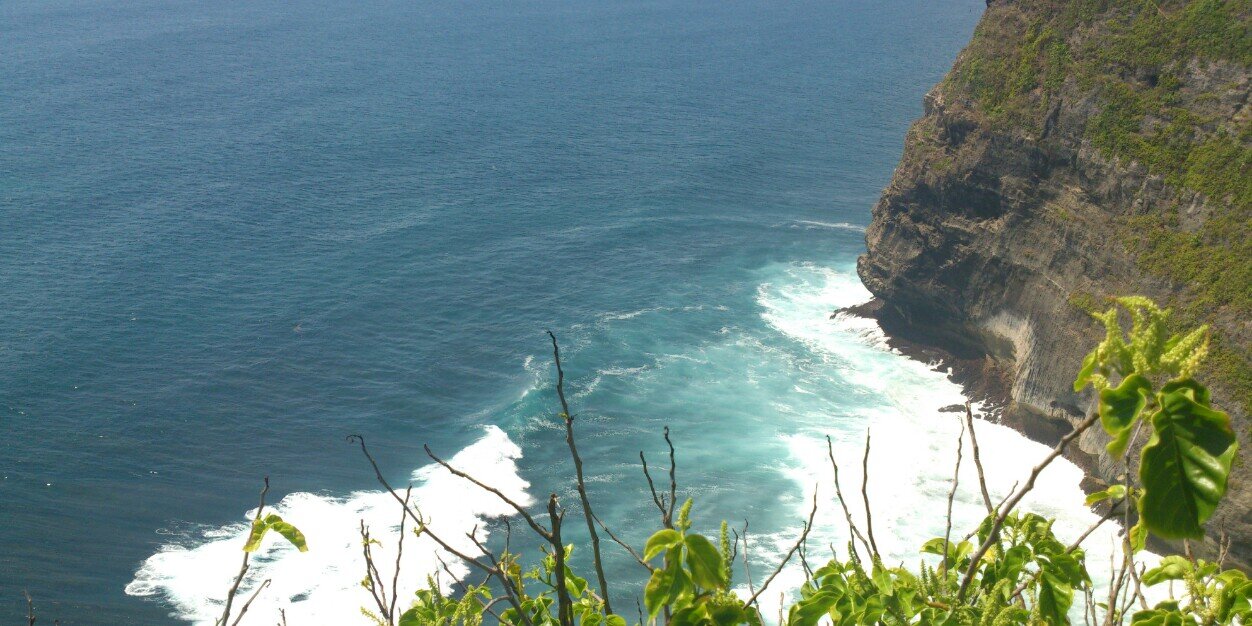 Reni Marliati banner