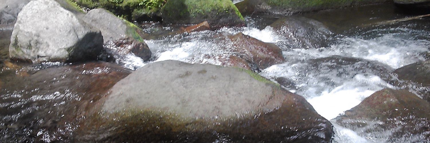 marie02143's profile banner image