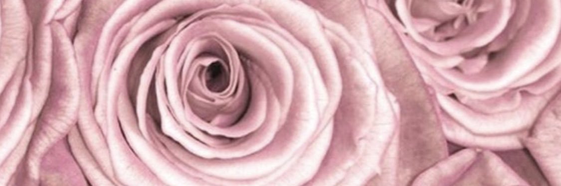 NicPurce's profile banner image