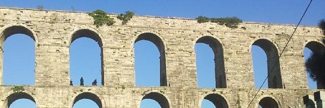 n_frattini's profile banner image