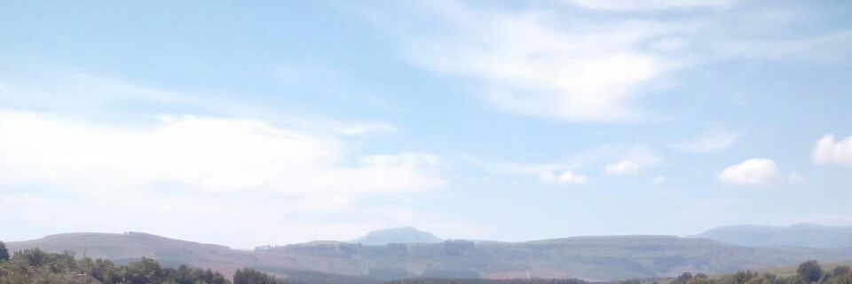 7809Jan's profile banner image