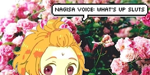 PenguinSeme's profile banner image