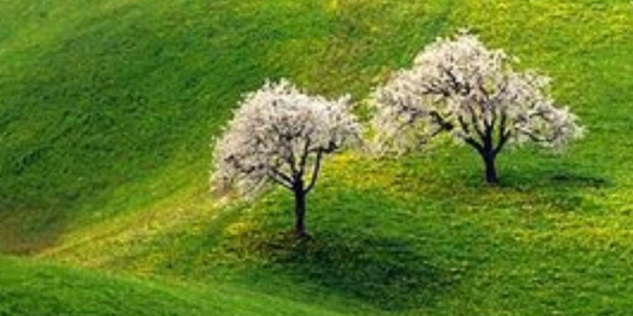 takhaddad's profile banner image