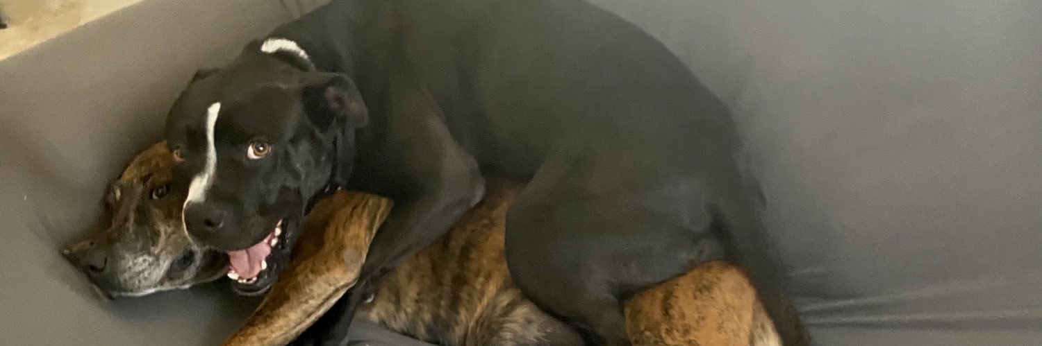 GonzalezAaron__'s profile banner image