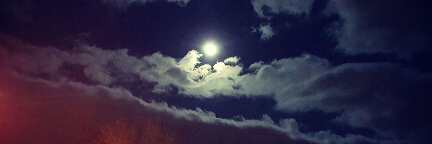 Dearbhla Holohan banner