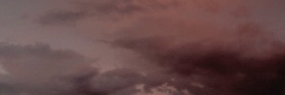 pandaxnarry's profile banner image