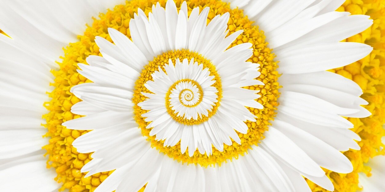 Interaktiel's profile banner image