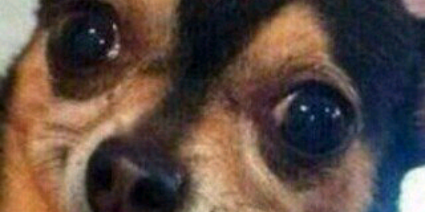 calumnjugdr's profile banner image