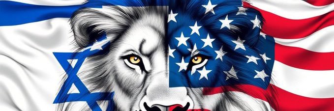 Wilson A George III 🇺🇸 banner