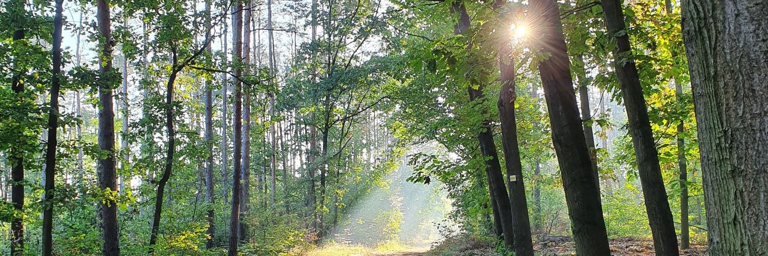 Hummel_DD's profile banner image