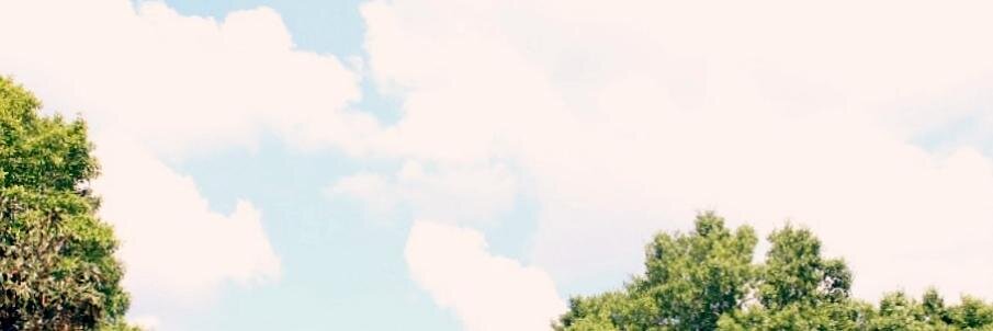 All things nice... banner