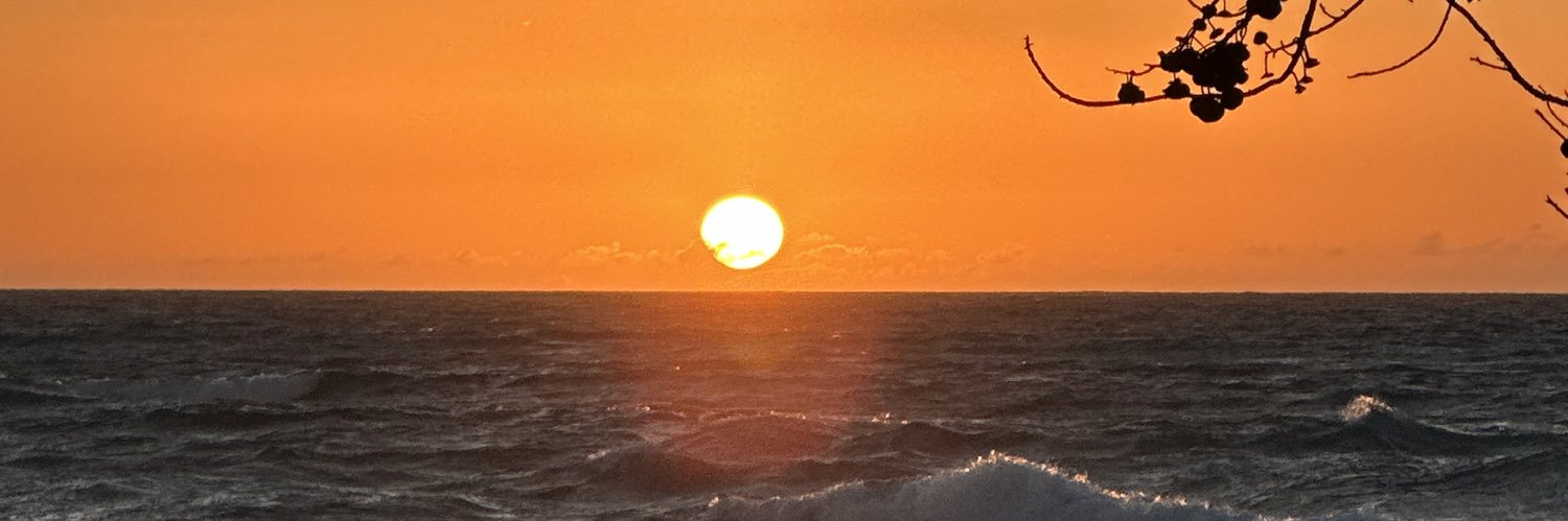kiwistar808's profile banner image