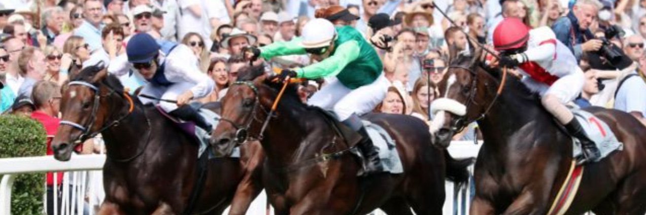ChemaRacehorses's profile banner image
