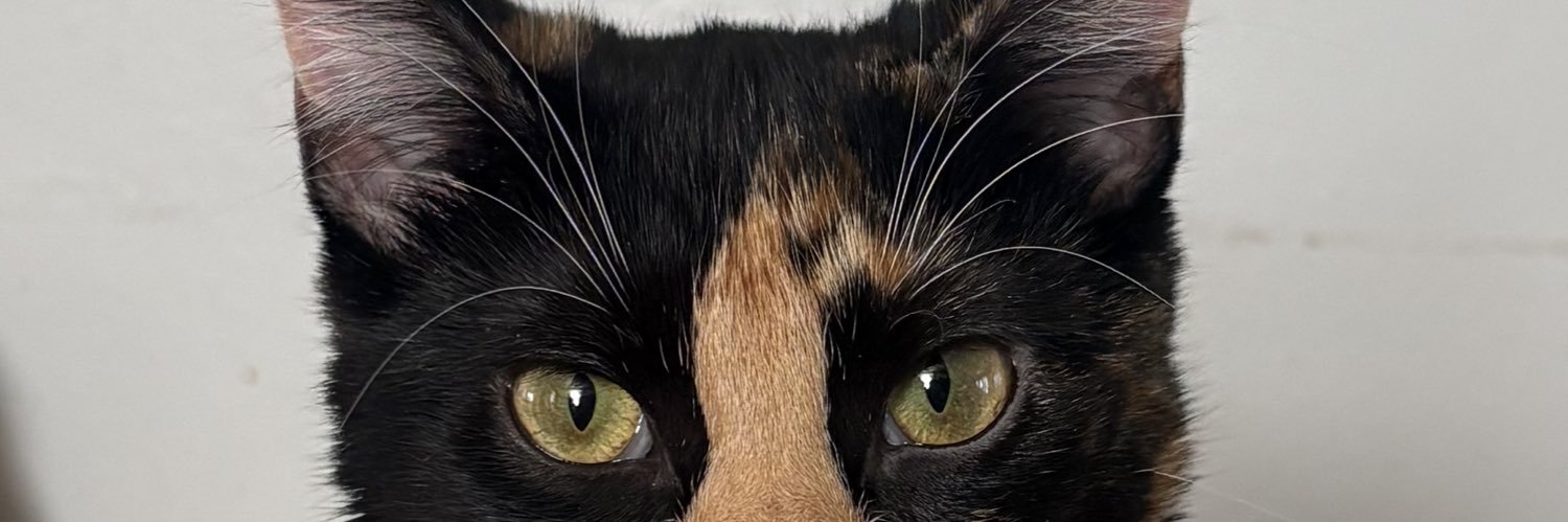 gpavila101's profile banner image