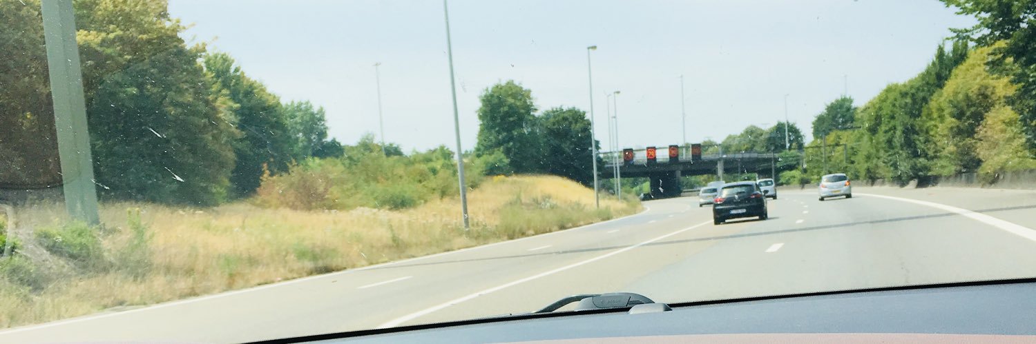 Daniel Solomon banner