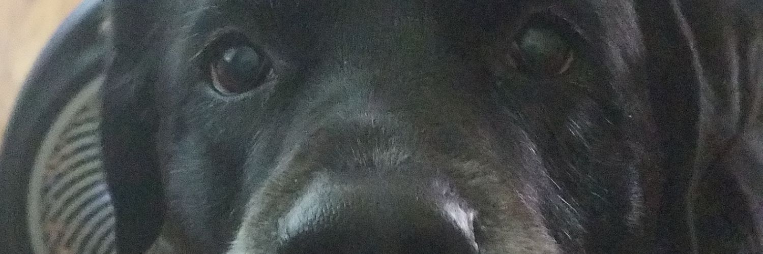 Brian_Beck_68's profile banner image