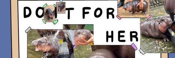 ashwise's profile banner image
