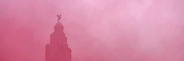 JWhite_97's profile banner image