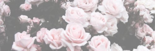 leighclark94's profile banner image