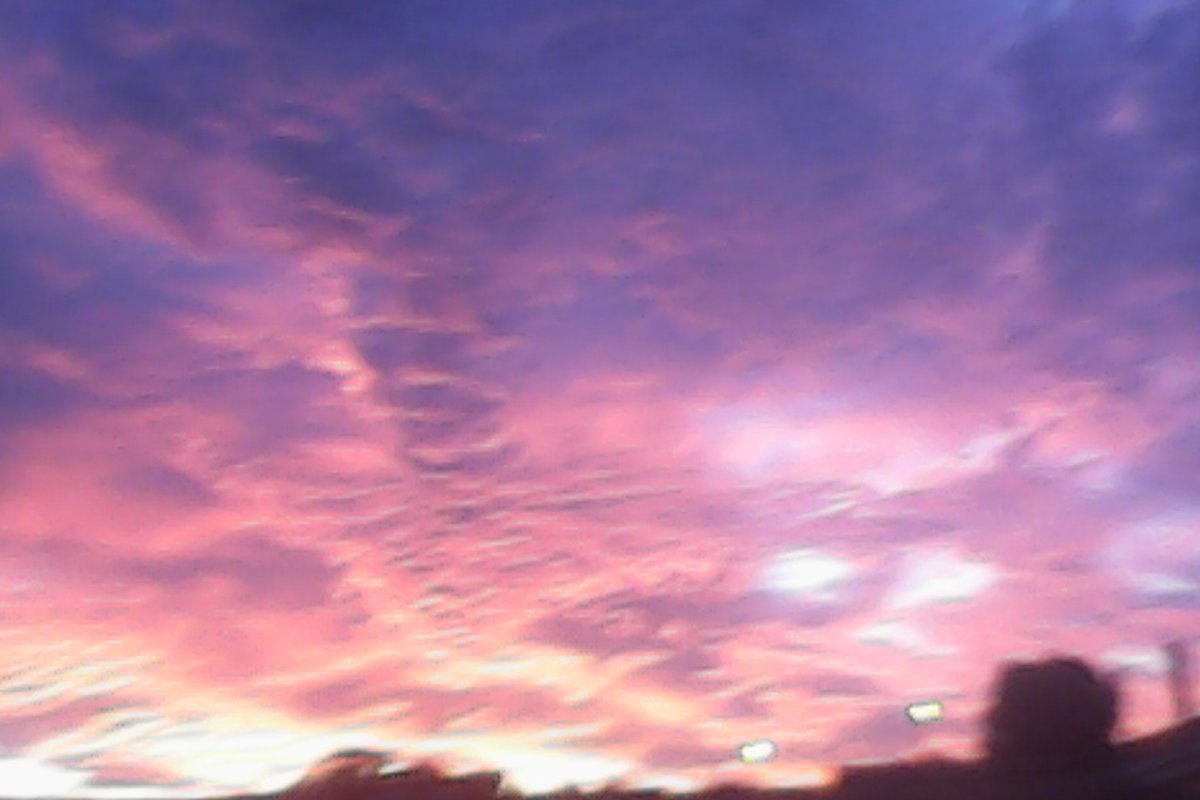 chane_koopman's profile banner image