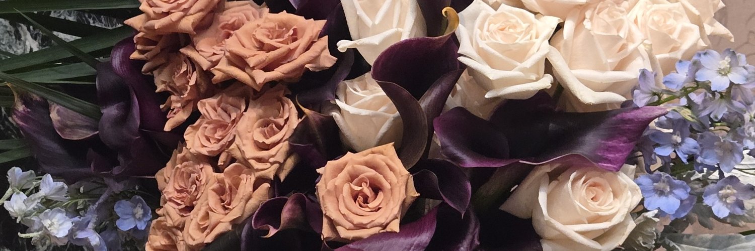 robertdolci's profile banner image