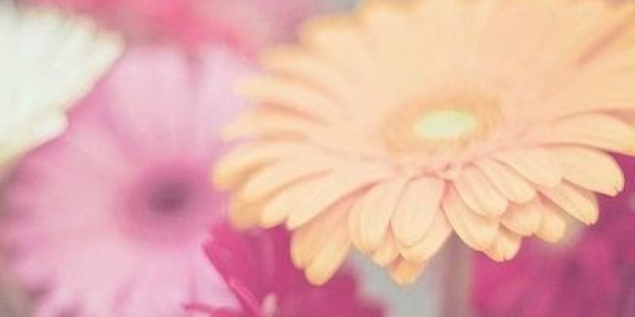 deskropppp's profile banner image