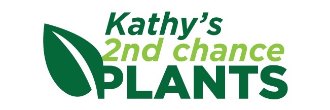 Kathy's 2nd Chance Plants banner