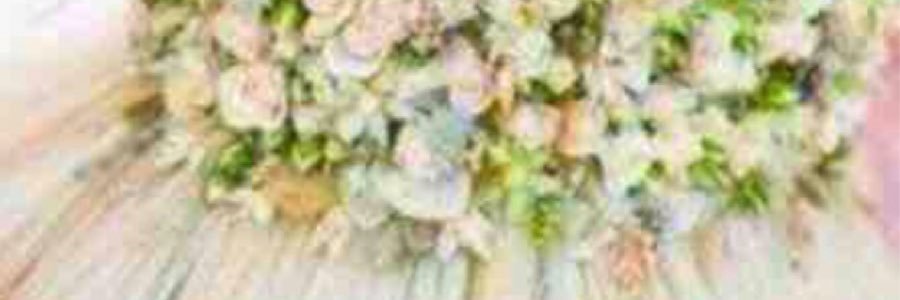 lastella_btq's profile banner image