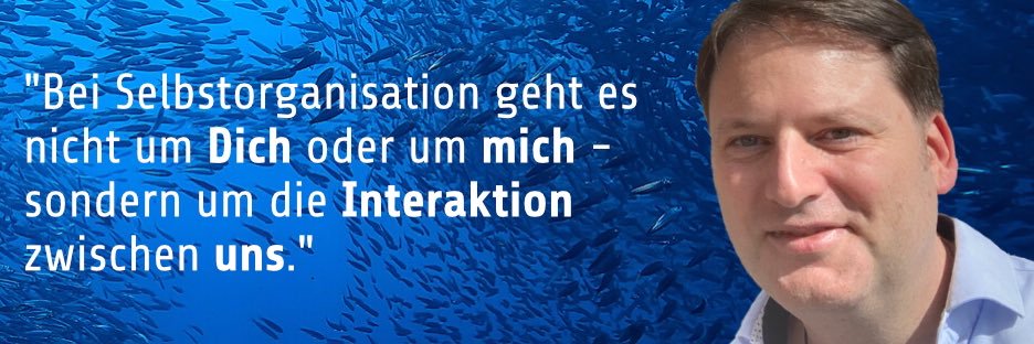 Alinbu Consulting | Peter Proell banner