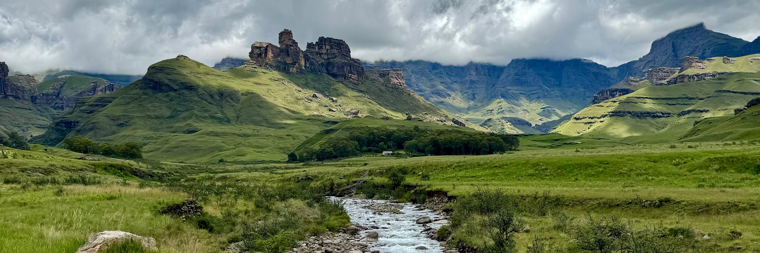 Matt Stuchlik banner