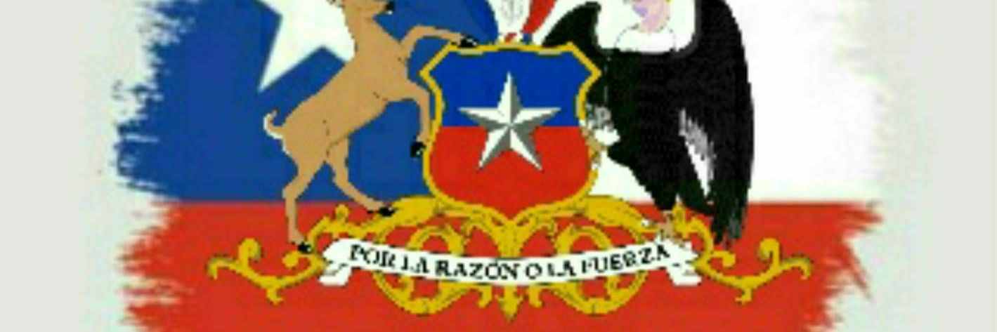 arroba15 Derecha Patriota banner