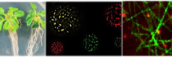 Gutierrez_EE Profile Banner