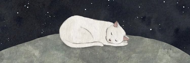 opsofia's profile banner image