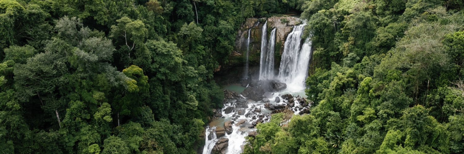 Heather Hopkins banner