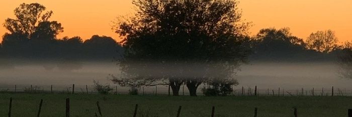 facun2abregu's profile banner image