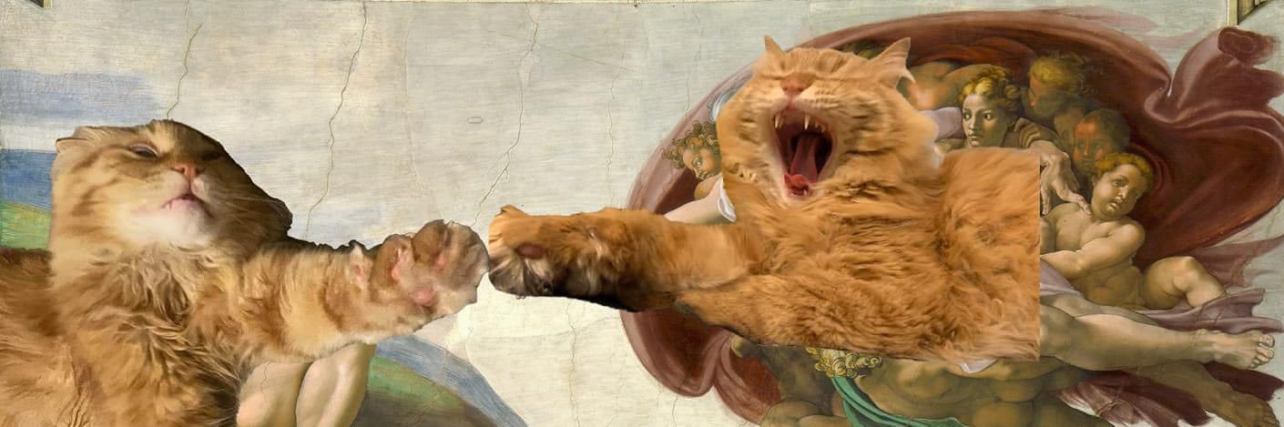 Dr. Laura Mayron banner