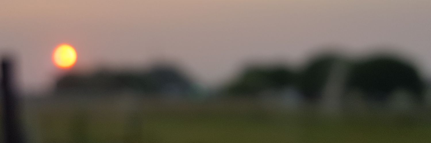 meghan mancain x banner