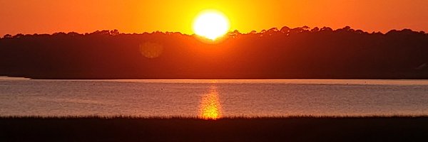 1LonelyCoyote Profile Banner
