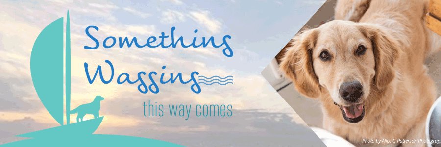 S_Wagging's profile banner image