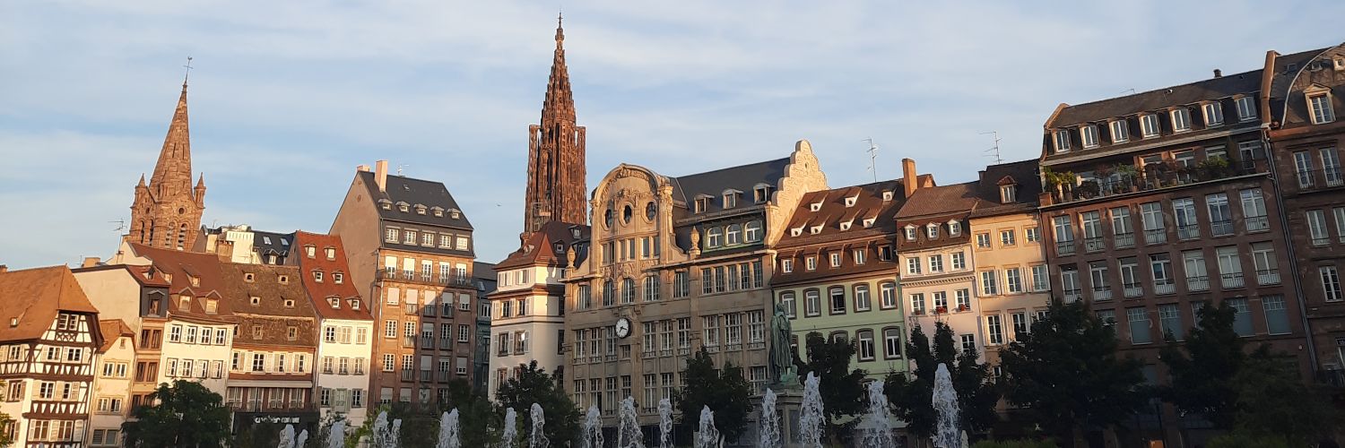 sarbentz's profile banner image