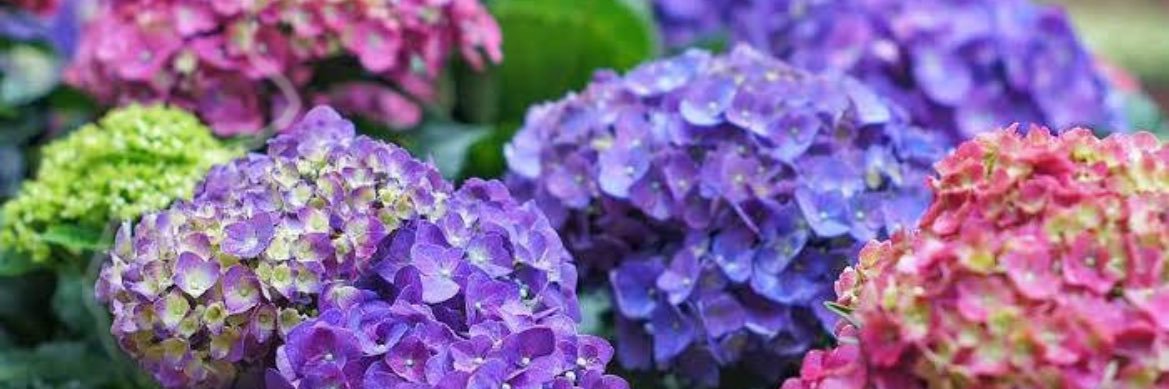 Maria__Mariaaaa's profile banner image