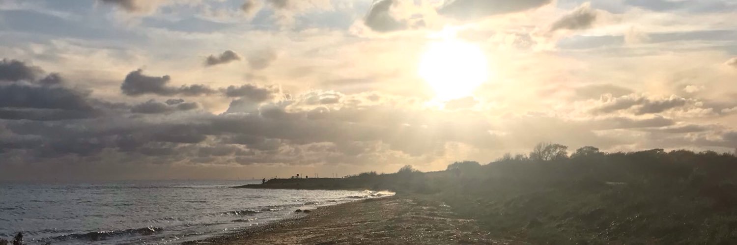 Gillian Lambert banner