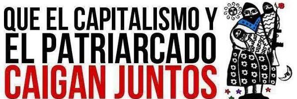 Marina Albiol Guzmán🔻 banner