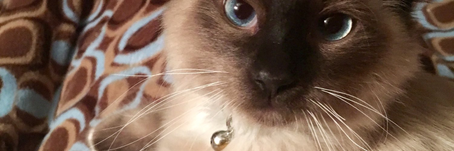 68Freak's profile banner image