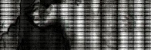 tripp banner